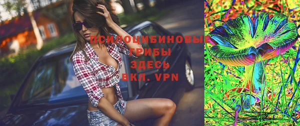 гашик Володарск
