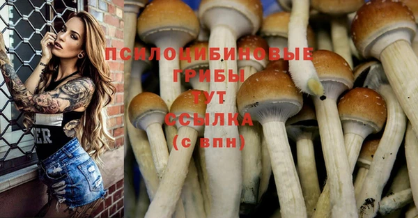 MDMA Premium VHQ Вязьма