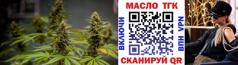Купить где Куса Дистиллят ТГК концентрат