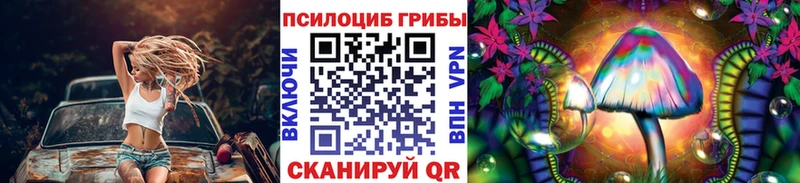 Псилоцибиновые грибы Cubensis  Купить где  Куса 